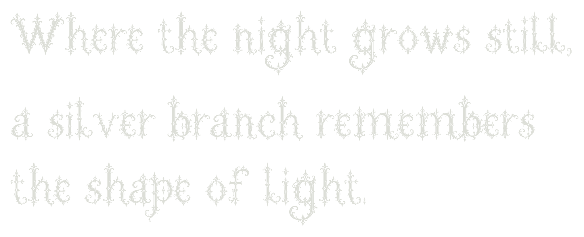 Where the night grows still, a silver branch remembers the shape of light.